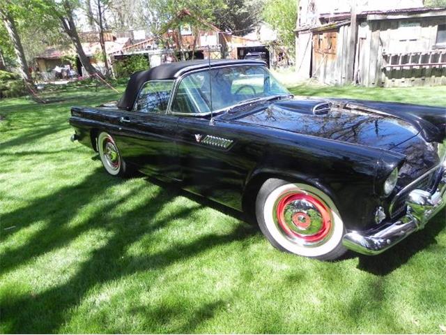 1955 Ford Thunderbird (CC-1561709) for sale in Cadillac, Michigan