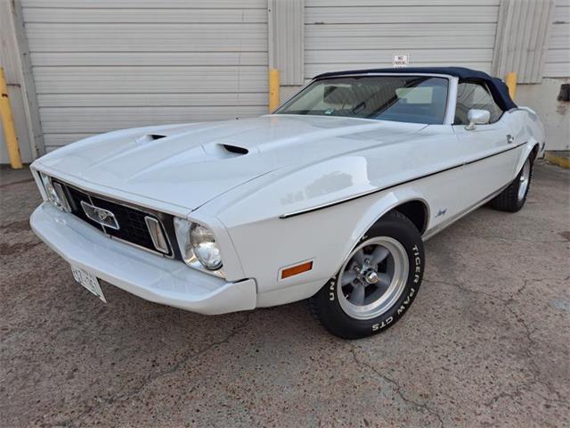 1973 Ford Mustang (CC-1561750) for sale in Houston, Texas