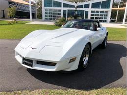 1981 Chevrolet Corvette (CC-1561871) for sale in Palmetto, Florida