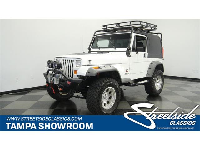1989 Jeep Wrangler (CC-1562199) for sale in Lutz, Florida