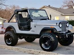 1982 Jeep Wrangler (CC-1562319) for sale in Cadillac, Michigan