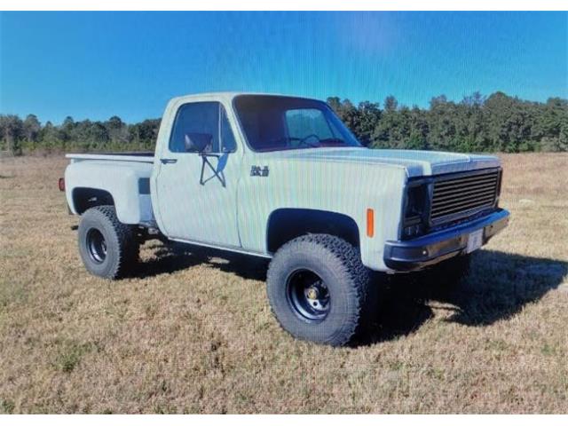 1979 GMC K1500 (CC-1562360) for sale in Cadillac, Michigan