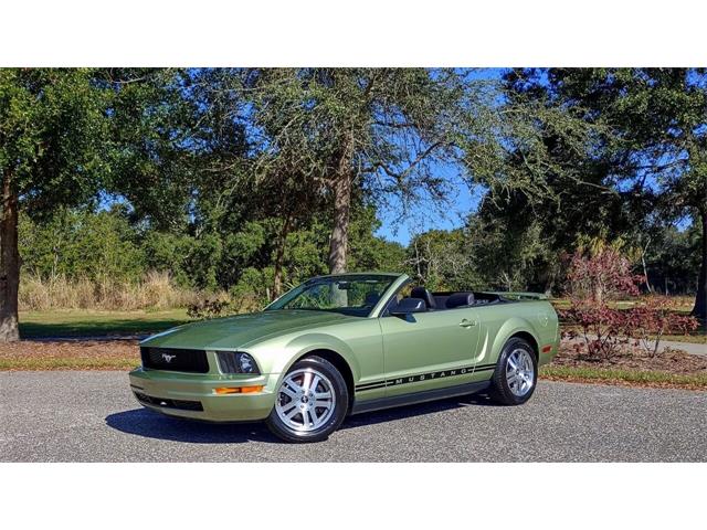 2005 Ford Mustang (CC-1562369) for sale in Clearwater, Florida