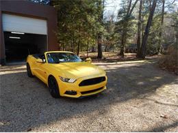 2016 Ford Mustang (CC-1560272) for sale in Cadillac, Michigan