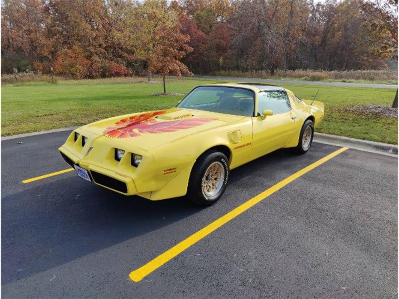 1979 Pontiac Firebird Trans Am for Sale | ClassicCars.com | CC-1562854