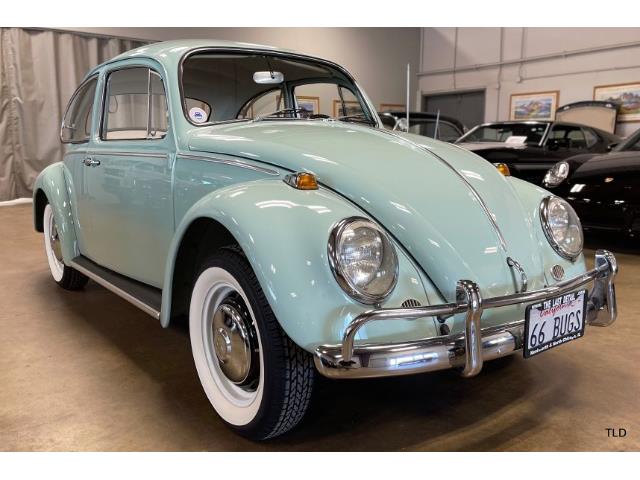 1966 Volkswagen Beetle (CC-1563066) for sale in Chicago, Illinois