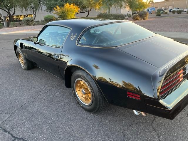 1976 Pontiac Firebird Trans Am for Sale | ClassicCars.com | CC-1563346