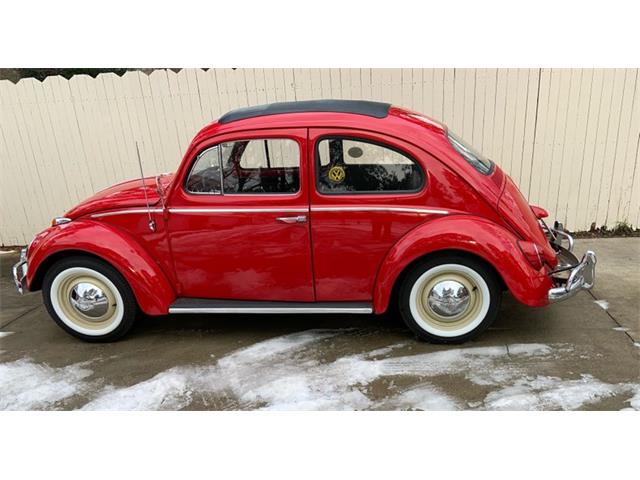 1963 Volkswagen Beetle (CC-1563729) for sale in Greensboro, North Carolina