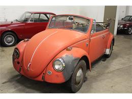 1967 Volkswagen Beetle (CC-1563866) for sale in Cleveland, Ohio