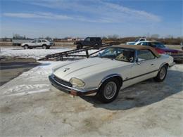 1993 Jaguar XJS (CC-1565038) for sale in Staunton, Illinois