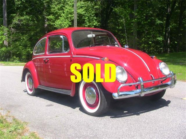 1966 Volkswagen Beetle (CC-1560051) for sale in Cornelius, North Carolina