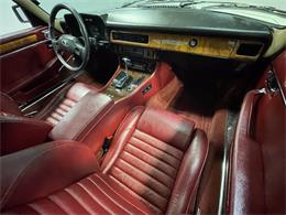 1989 Jaguar XJS (CC-1565100) for sale in Sioux Falls, South Dakota