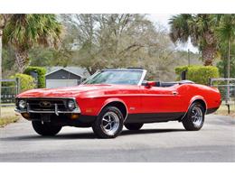 1971 Ford Mustang (CC-1565476) for sale in Eustis, Florida