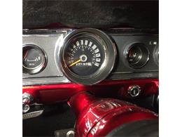 1966 Ford Mustang (CC-1566060) for sale in Seaford, New York