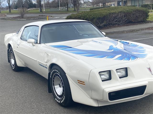 1980 Pontiac Firebird Trans Am For Sale 