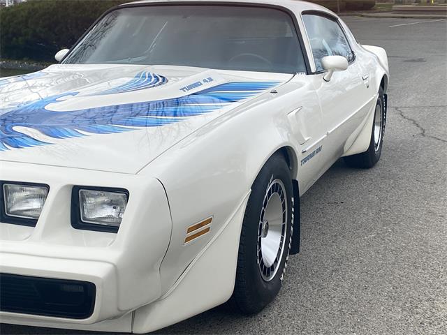 1980 Pontiac Firebird Trans Am For Sale 