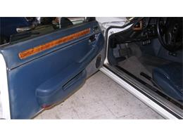 1988 Jaguar XJS (CC-1567033) for sale in Rye, New Hampshire