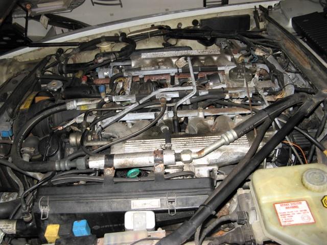 1988 Jaguar XJS (CC-1567033) for sale in Rye, New Hampshire