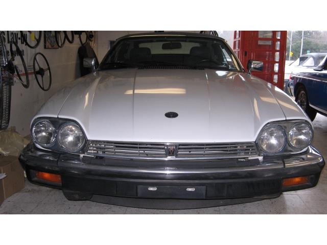 1988 Jaguar XJS (CC-1567033) for sale in Rye, New Hampshire