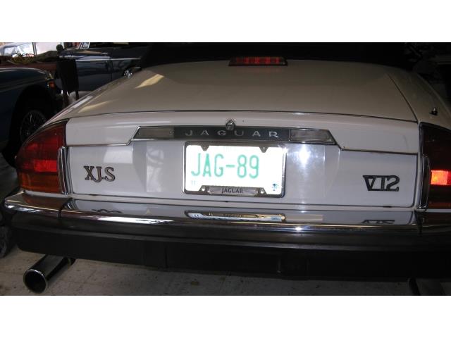 1988 Jaguar XJS (CC-1567033) for sale in Rye, New Hampshire