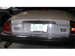 1988 Jaguar XJS (CC-1567033) for sale in Rye, New Hampshire