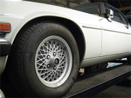 1988 Jaguar XJS (CC-1567033) for sale in Rye, New Hampshire