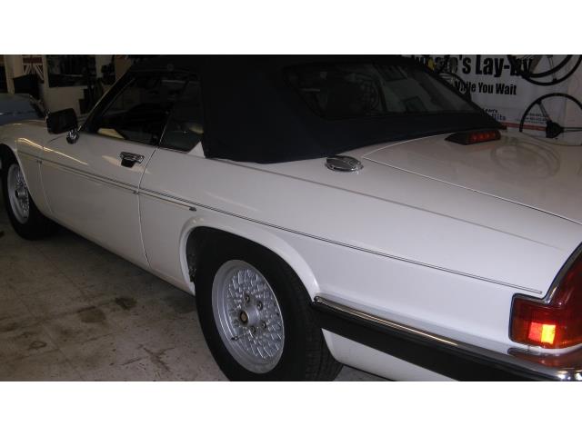 1988 Jaguar XJS (CC-1567033) for sale in Rye, New Hampshire