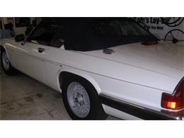 1988 Jaguar XJS (CC-1567033) for sale in Rye, New Hampshire