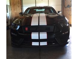 2016 Shelby GT350 (CC-1567246) for sale in TRAVERSE, Michigan