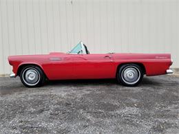 1955 Ford Thunderbird (CC-1567562) for sale in Linthicum, Maryland