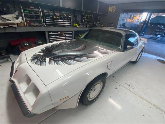 1980 Pontiac Firebird (CC-1567758) for sale in Cadillac, Michigan