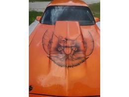 1978 Pontiac Firebird (CC-1567995) for sale in Cadillac, Michigan