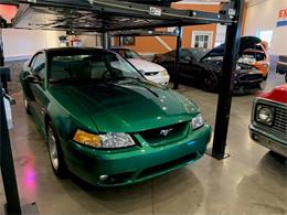 1999 Ford Mustang SVT Cobra (CC-1568195) for sale in Carlisle, Pennsylvania