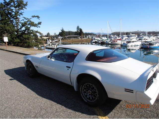 1977 Pontiac Firebird Formula (CC-1569499) for sale in Laconner, Washington