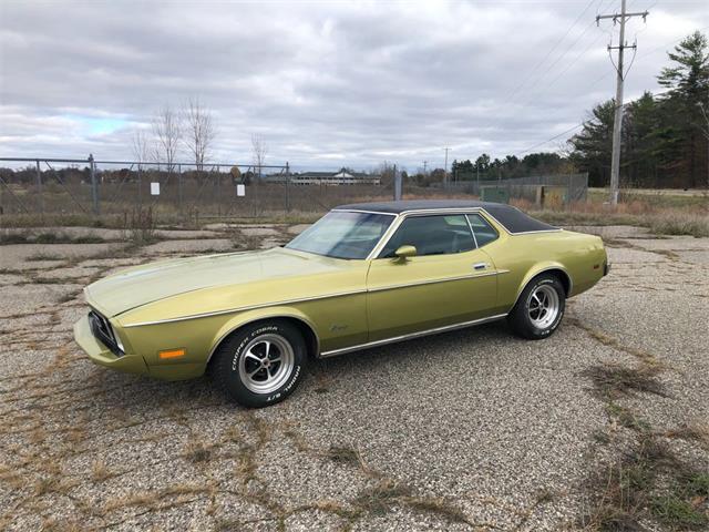 1973 Ford Mustang (CC-1569756) for sale in Grand Rapids, Michigan