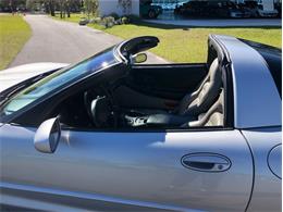 2000 Chevrolet Corvette (CC-1569905) for sale in Palmetto, Florida