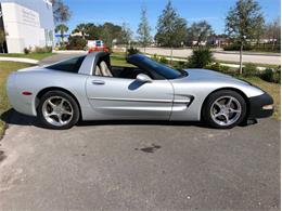 2000 Chevrolet Corvette (CC-1569905) for sale in Palmetto, Florida