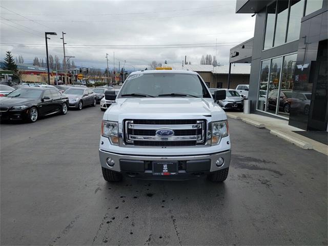 2013 Ford F150 (CC-1571050) for sale in Bellingham, Washington