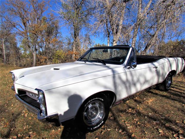 1967 Pontiac GTO (CC-1571241) for sale in Denver, Colorado