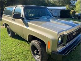 1974 Chevrolet Blazer (CC-1571290) for sale in Cadillac, Michigan