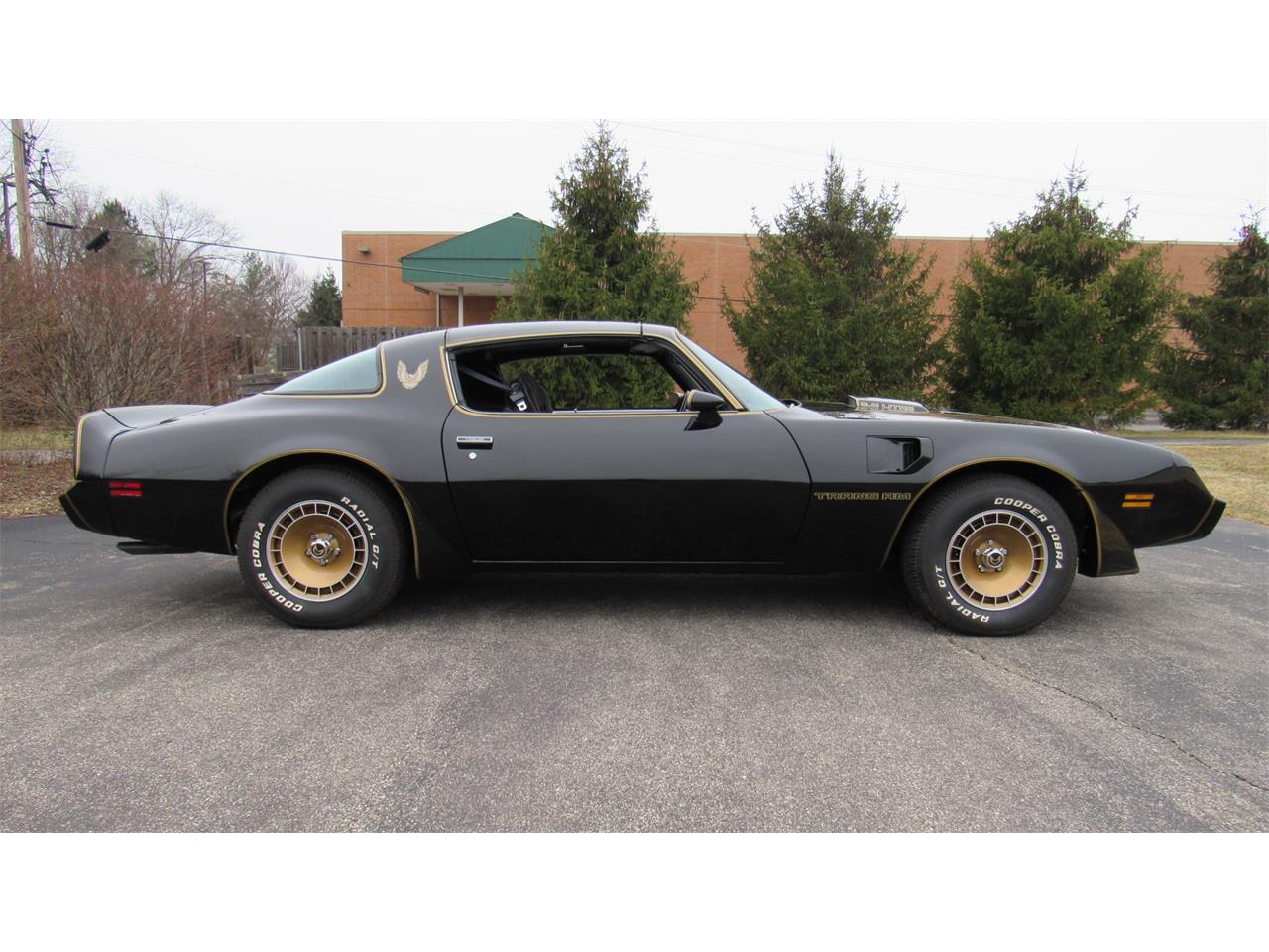 1981 Pontiac Firebird Trans Am for Sale | ClassicCars.com | CC-1572332