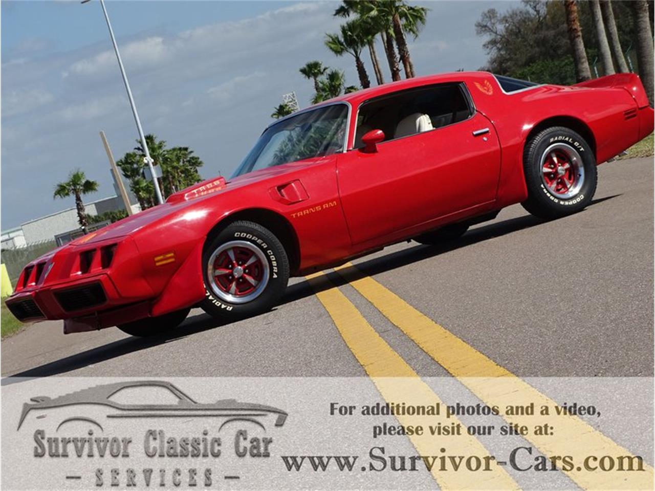 1979 Pontiac Firebird For Sale 