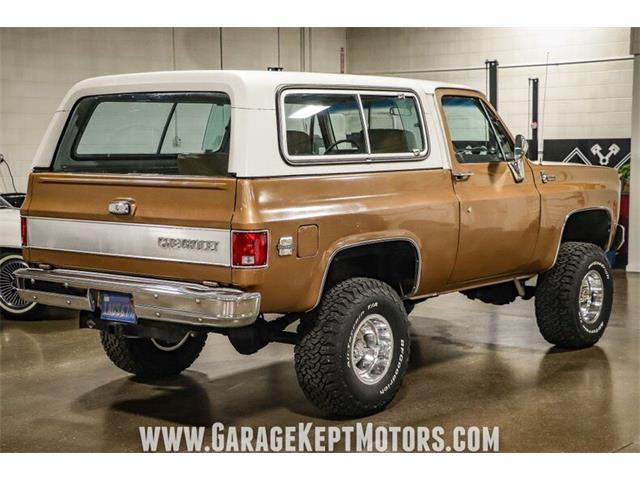 1980 Chevrolet Blazer (CC-1572648) for sale in Grand Rapids, Michigan