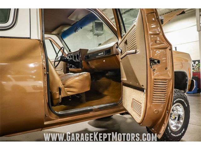 1980 Chevrolet Blazer (CC-1572648) for sale in Grand Rapids, Michigan