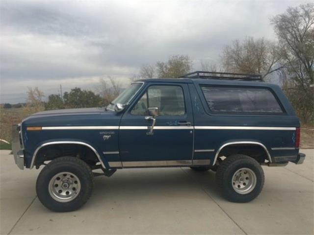 1984 Ford Bronco (CC-1572726) for sale in Cadillac, Michigan