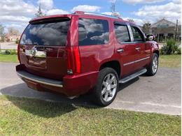 2008 Cadillac Escalade (CC-1572753) for sale in Palmetto, Florida