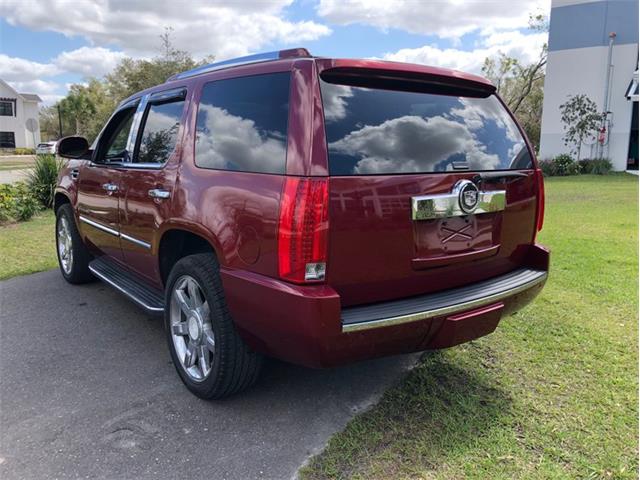 2008 Cadillac Escalade (CC-1572753) for sale in Palmetto, Florida