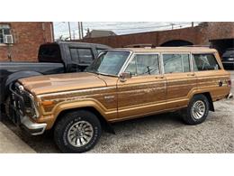 1982 Jeep Wagoneer (CC-1573150) for sale in Cadillac, Michigan