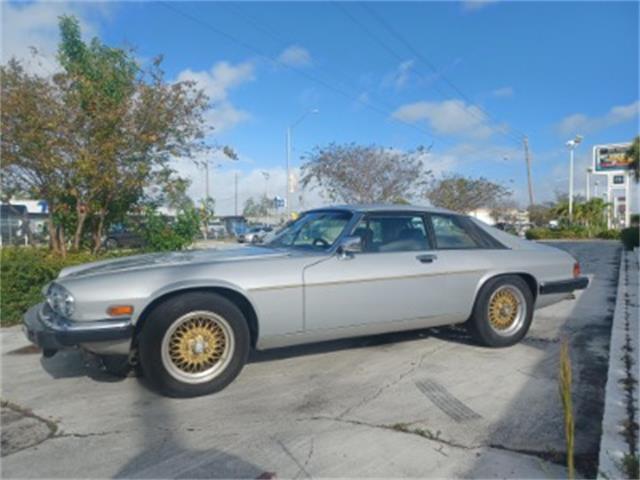 1983 Jaguar XJ (CC-1573509) for sale in Miami, Florida