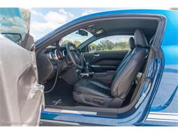 2009 Shelby GT500 (CC-1573640) for sale in Ocala, Florida